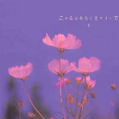 皇家88手机app下载截图